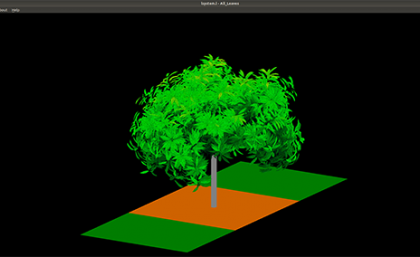 Digital image of mango tree by Dr Liqi Han Digital image of mango tree by Dr Liqi Han